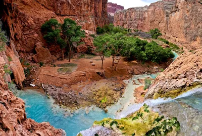 Grand Canyon Oasis