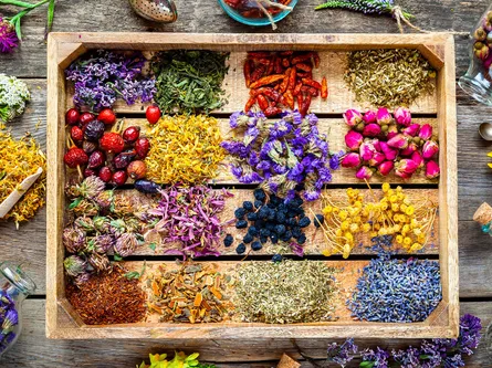 Spices on table