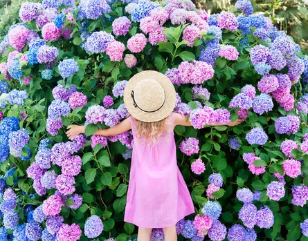Girl hugging blue flowers