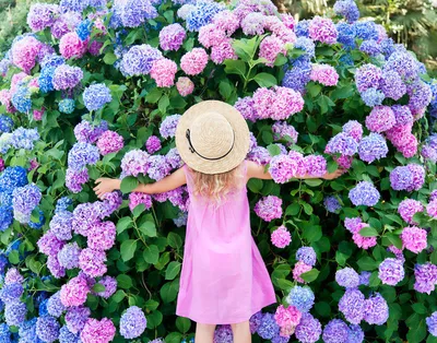 Girl hugging blue flowers