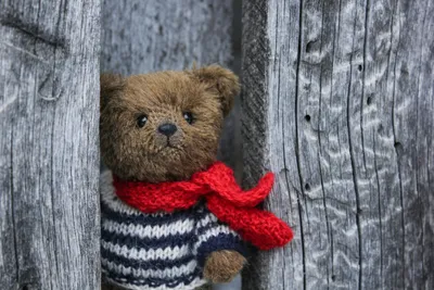 Teddy bear with scarf and sweater