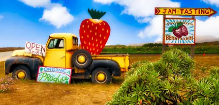 Sign truck strawberry open farm stand fruit