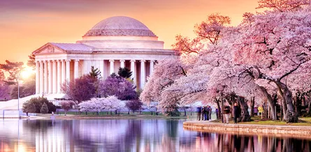 Jefferson memorial 75 39