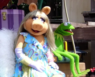 Kermit and miss piggy puppets