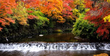 Picture of waterfall