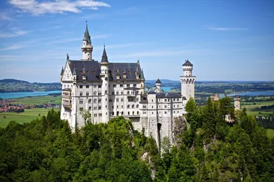 Castle in middle of forest