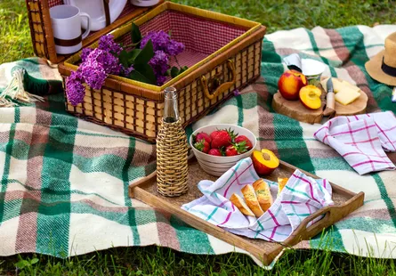 Picnic setting outdoors