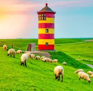 Lighthouse on hillside with sheep grazing
