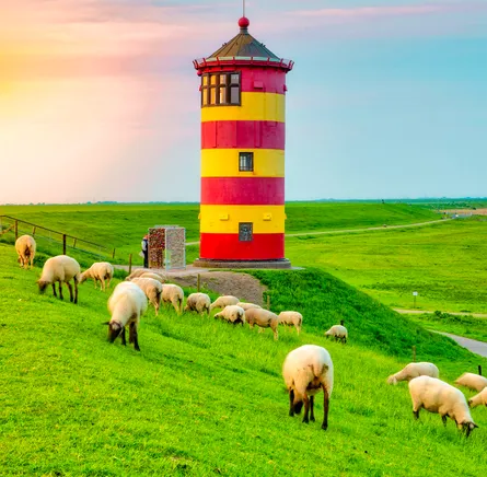 Lighthouse on hillside with sheep grazing