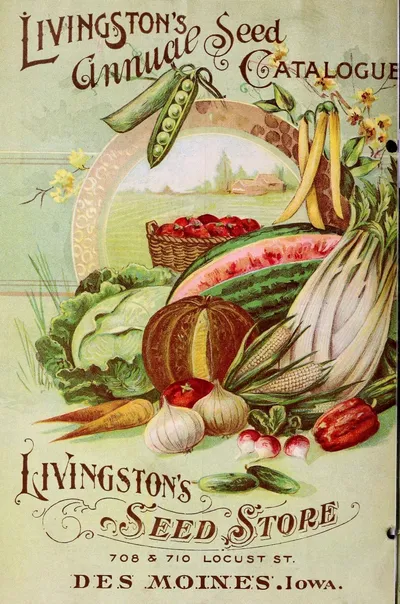 Livingston Seed Catalog Advertisement