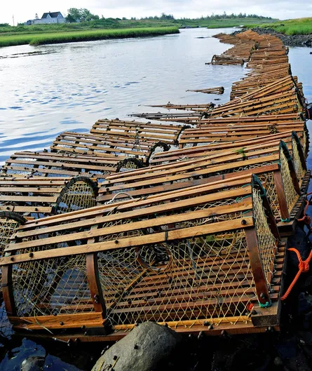 Traps floating in water