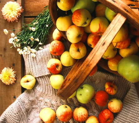 Basket of apples on table
