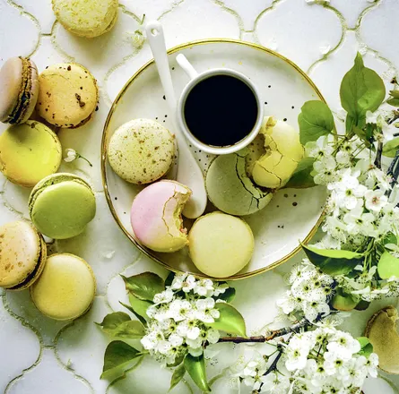 Macaron coffee break 682 434