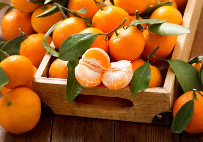 Fresh Oranges