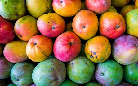 Colorful fruit display