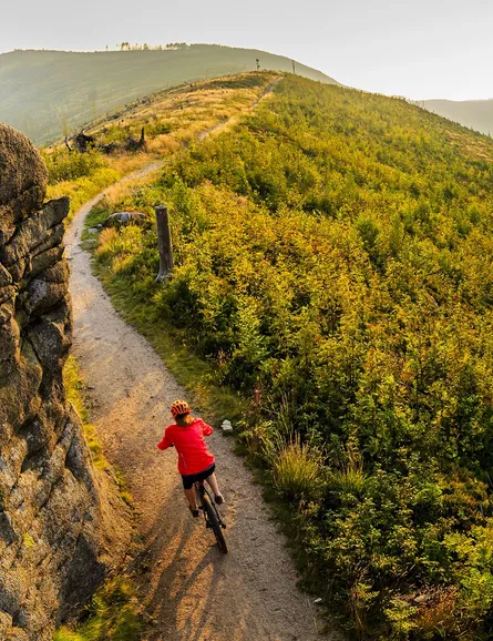 Person riding bike on mountain trail
