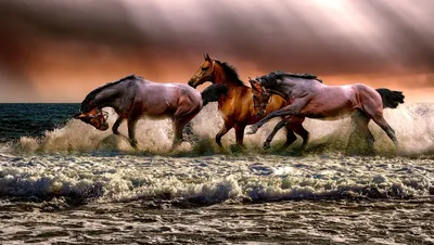 Horses gallop by ocean