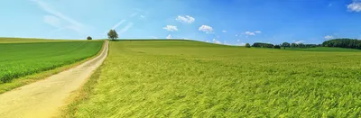 Fields and road