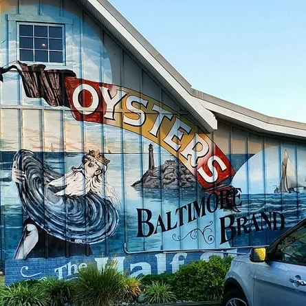 Baltimore crab shack