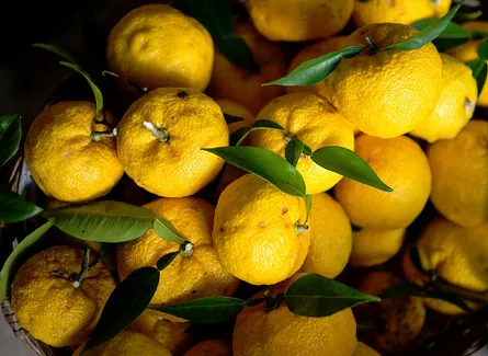 Many oranges on the counter