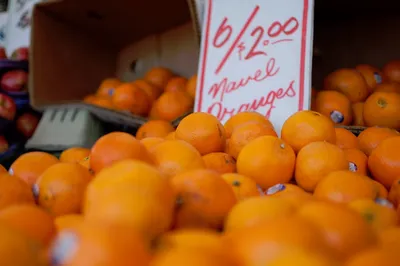 Priced oranges on display