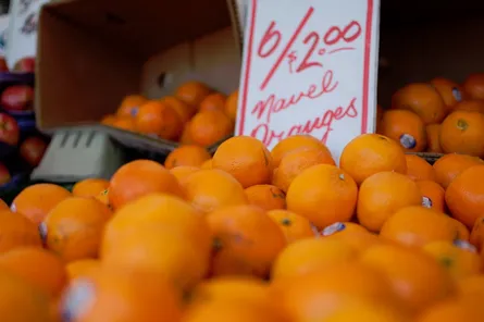 Priced oranges on display
