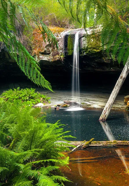 Otway waterfall 68 35