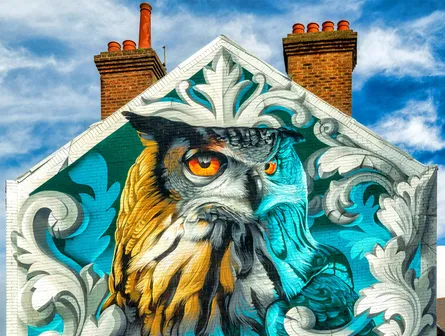 Owl mural 122 080