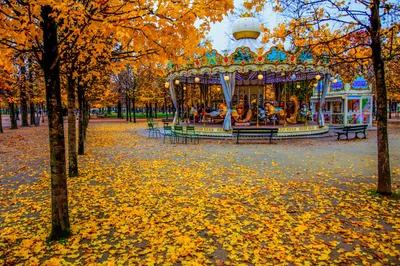 Golden Amusement Park Ride