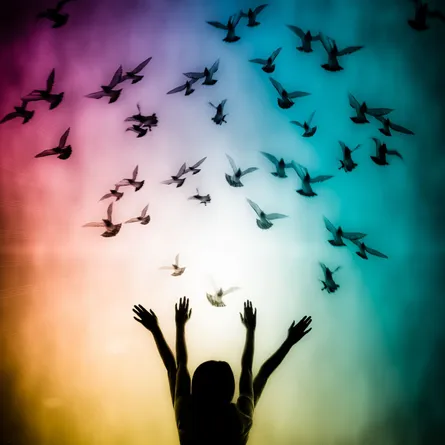 Peace day 2020 34 22