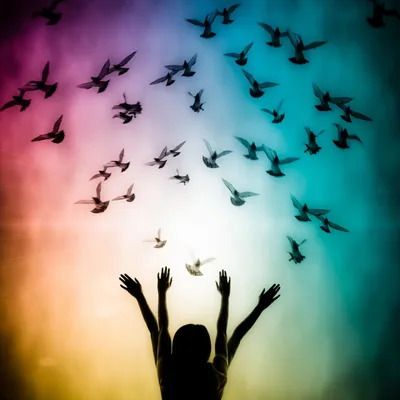 Colorful Birds of Joy