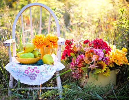 Flowers on chair