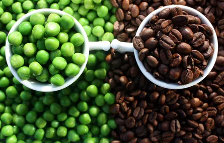 Coffee Beans vs Peas