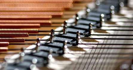 Organ Pipe Percussion