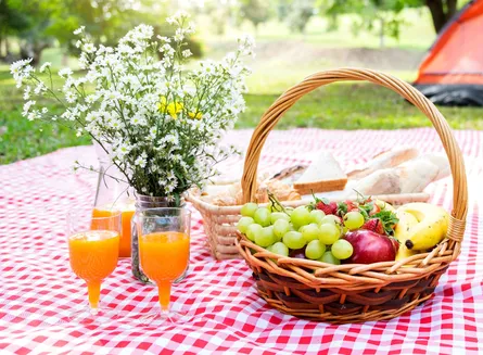 Picnic in the Park