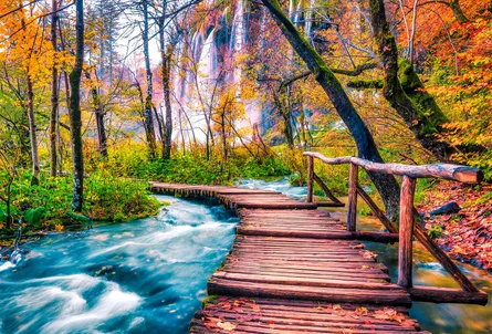 Fall scenery