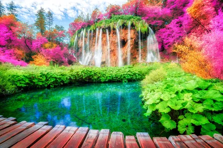 Waterfall, forest, walkway, pink flowers