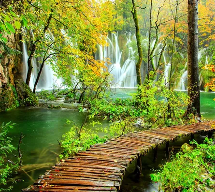 Path through waterfall forest