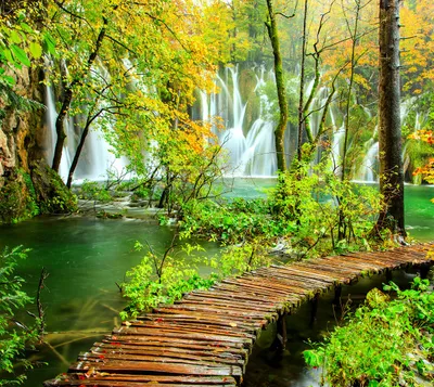 Path through waterfall forest