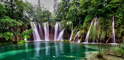 Vibrant Waterfall Oasis
