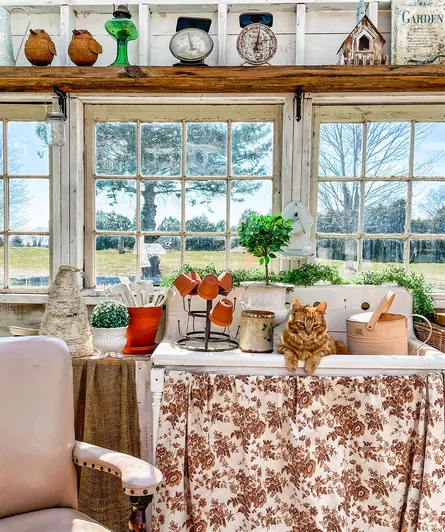 Country kitchen with cat
