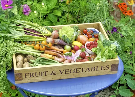 Produce box 682 517