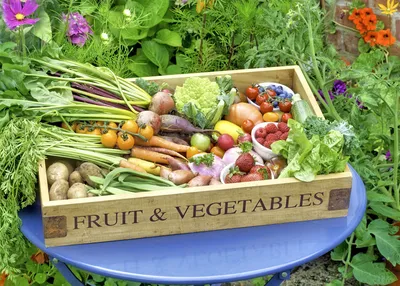 Fresh Vegetable Crate