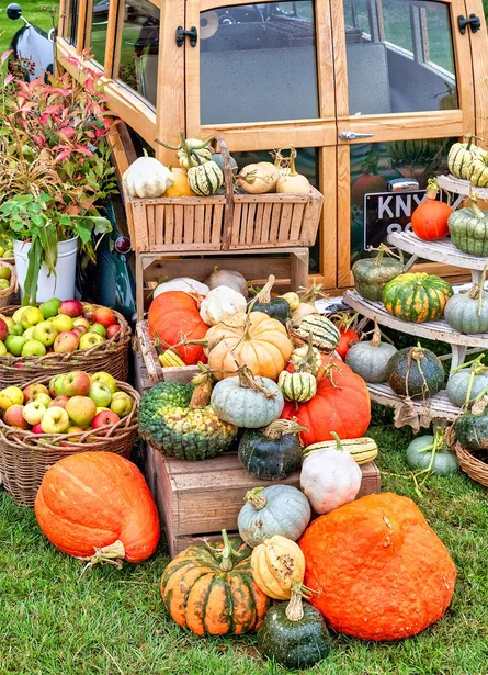 Pumpkin display 78 52