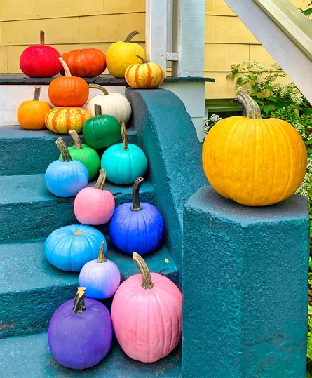 Colorful pumpkins on porch