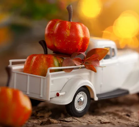 Pumpkin truck 66 51