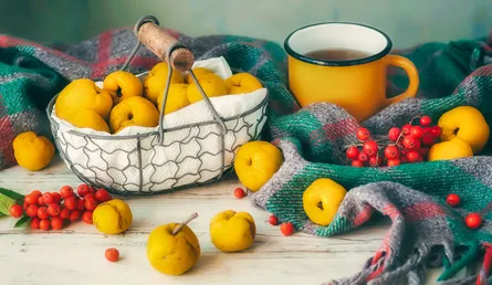 Autumn Fruit Harvest