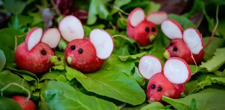 Fancy food art