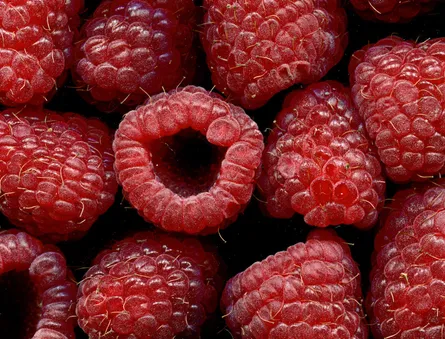 Fresh raspberries