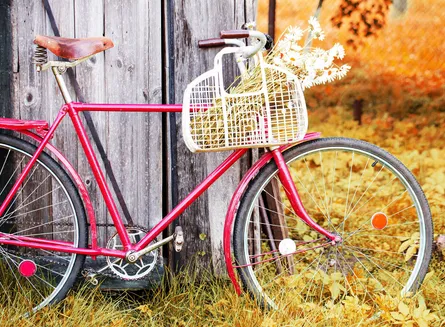 Bicycle by flowers